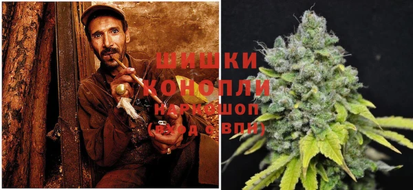 бошки Алзамай