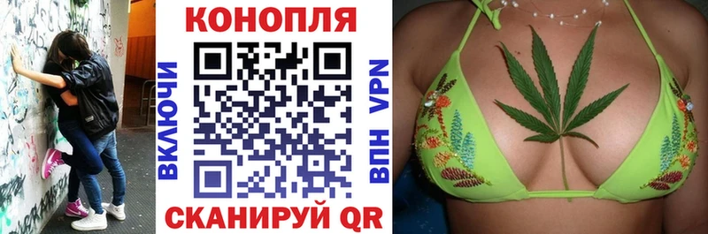 Каннабис гибрид Коряжма